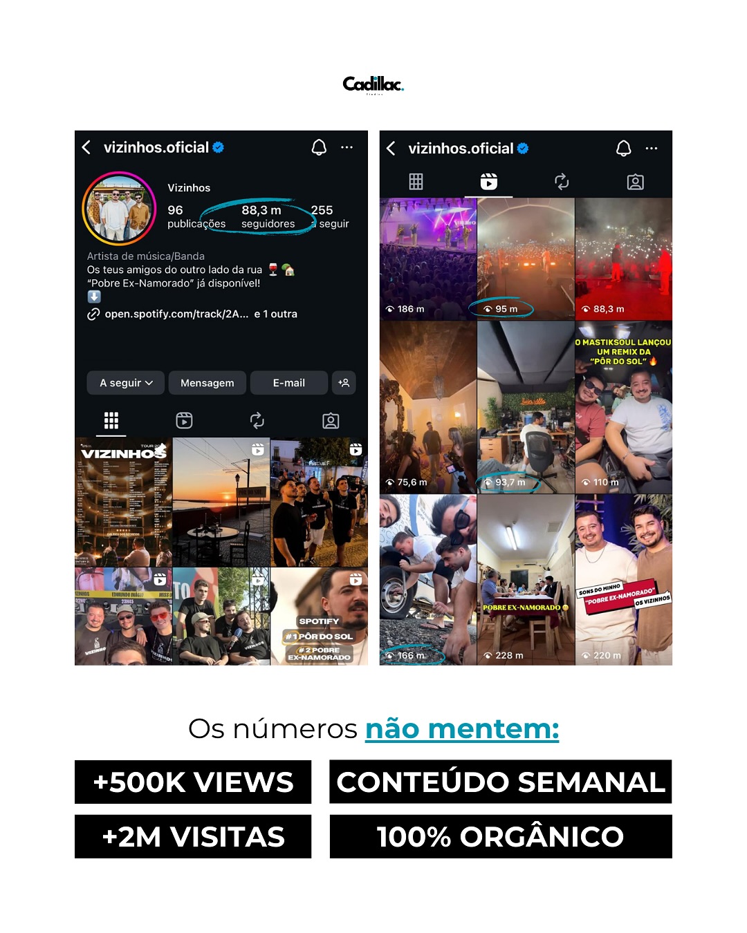 Resultados dos Vizinhos: mais de 500 mil visualizações e crescimento 100% orgânico
